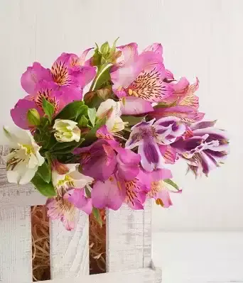 Send birthday flowers online
